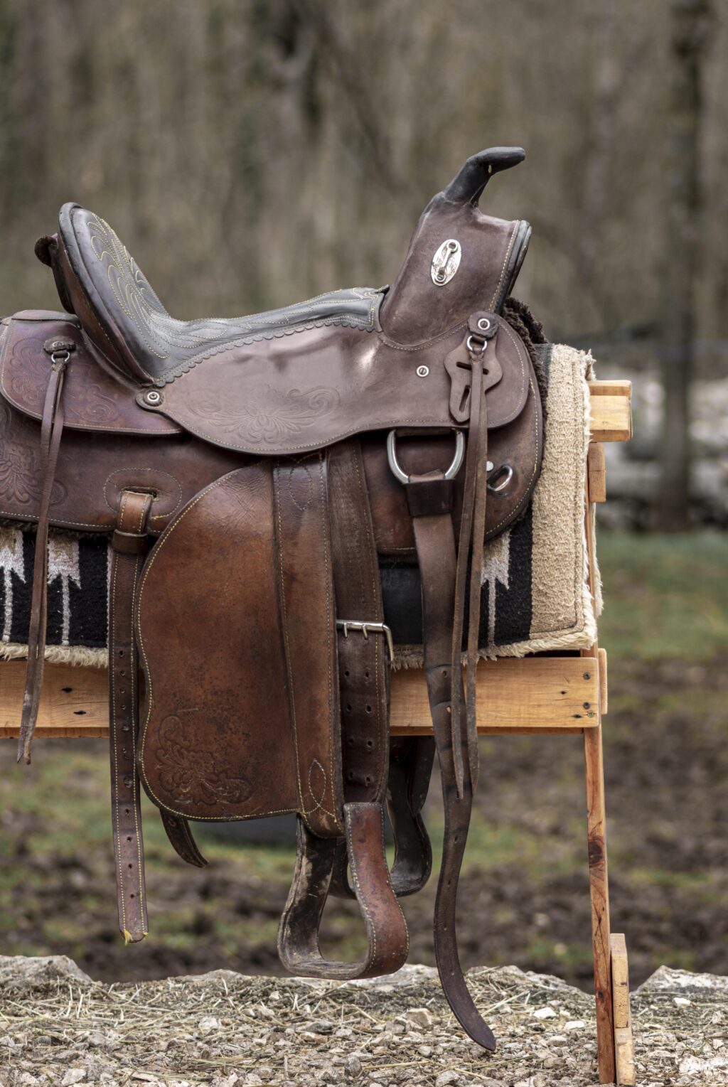 country-lifestyle-with-leather-saddle